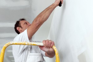 Professional oak park painter